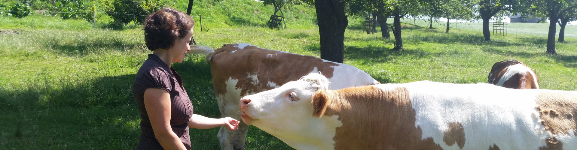 Christiane füttert Kuh mit der Hand
